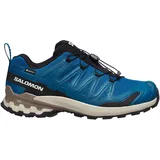 Salomon XA PRO 3D V9 GTX Herren Trailrunningschuhe, Shoes, Blue, 42 2⁄3 - 42 2⁄3