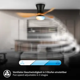 Briloner LUFITO 78 cm Deckenventilator Schwarz