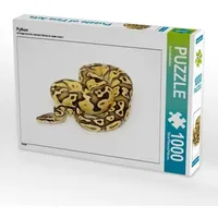 Calvendo Python (Puzzle)