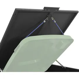 vidaXL Mülltonnenbox 276 x 79 x 117 cm schwarz