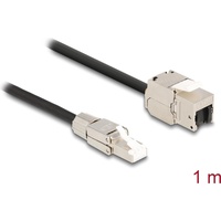 DeLock Kabel RJ45 Stecker feldkonfektionierbar CAT 6a 1 m