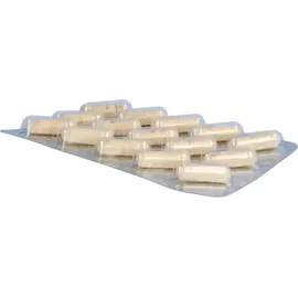 Alsitan Alsifemin 100 Klima-Aktiv m.Soja 1x1 Kapseln