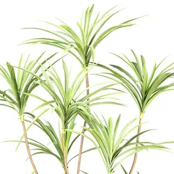 CREATIV green künstliche Pflanze Dracaena, ca 180cm