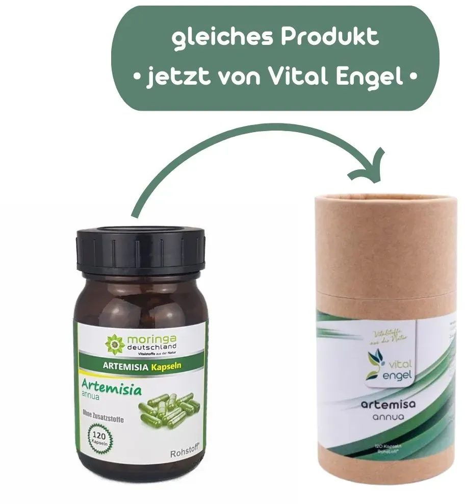 Artemisia annua Kapseln (120 Stück) - Moringa Deutschland