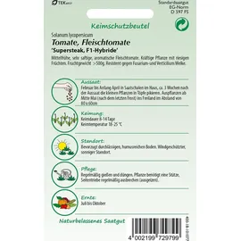 Samen Pfann Tomate Supersteak F1-Hybride | Fleischtomatensamen von Samen Pfann
