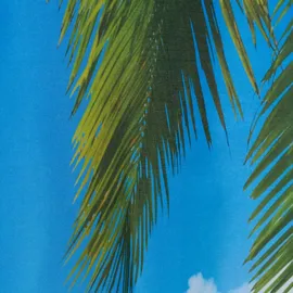 Relaxdays Duschvorhang Tropical 180 x 200 cm mehrfarbig