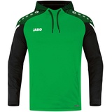 Herren Kapuzensweatshirt Performance Soft Green/Schwarz L