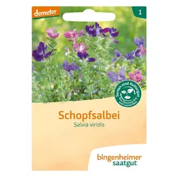 Bingenheimer Saatgut - Schopfsalbei