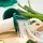 Genius Nicer Dicer Fusion Smart 16-tlg. mintgrün