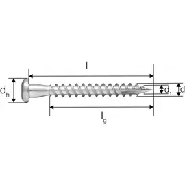SIMPSON STRONG TIE Verbinderschraube CSA 5,0 x 50 250 Stück