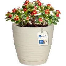 Kadax Blumentopf mit Untersetzer, Blumenkübel, Pflanzkübel für Innen, Leichter Pflanztopf aus Kunststoff, Übertopf für Blumen, Pflanzen, Haus, Zimmer, Pflanzgefäß (17cm, Creme)