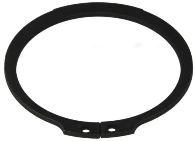 Circlip, Synchroon lichaam ZF 0630501040ZF