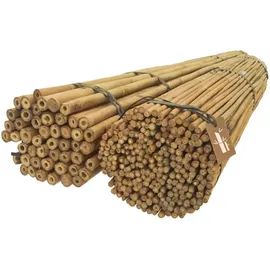 DIXIE STORE Bambusstäbe Set Pflanzenstütze 120 cm 6/8 mm 100 Stück