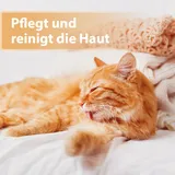 Felisept Wundspray für Katzen 75 ml