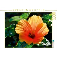 Calvendo Hibiskus Puzzle