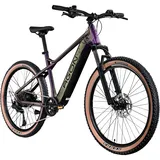 Agon Alpha 27,5 Zoll RH 48 cm Sunrise Black Metallic