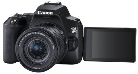 Canon EOS 250D - Digitalkamera - SLR - 24.1 MPix - APS-C - 4K / 25 BpS - 3x opti