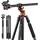 K&F Concept T254A7 Aluminium Stativ 230 cm mit verstellbarem Arm