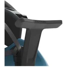 Prodigee Icon Blue
