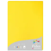 Clairefontaine Pollen A4 210 g/m2 25 Blatt