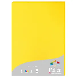 Clairefontaine Pollen A4 210 g/m2 25 Blatt