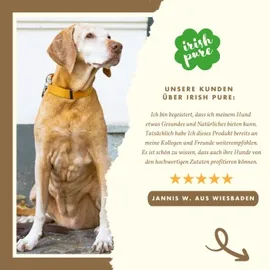 Irish Pure Senior | 1.5kg | Freiland-Huhn mit Kelp-Alge & Gemüse | Hoher Fleischanteil | Getreidefrei | Sensitiv | Hundetrockenfutter | Hundefutter für alle Rassen