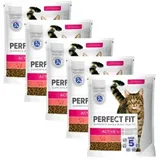 PERFECT FIT Active 1+ mit Rind 2 x 1,4 kg