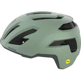 Alpina Taunus Gravel MIPS 55-59 cm Herren willow-green matt 2021