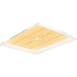TSW-2000 - 300W LED Grow Vollspektrum Pflanzenlampe            