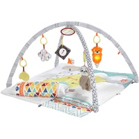 Fisher-Price HBB74 Baby Erlebnisdecke & Spielmatte Stoff, Kunststoff Mehrfarbig Baby-Turnhalle
