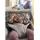 BabyBjörn Spielzeug für Babywippe Soft Friends, grau