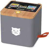 Tiger Media Tigerbox Touch Plus grau