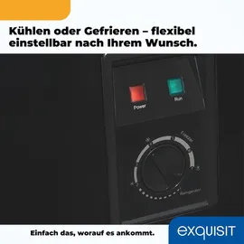 Exquisit Gefriertruhe, Kombigerät, 2-in-1, 99 Liter, Tiefkühltruhe, Kühlen, 4-Sterne-Gefrieren, Gefriertruhe klein, Gefrierkorb, GT100-050E schwarz