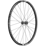 DT Swiss EX 1700 Spline 29" 622 x 30 mm
