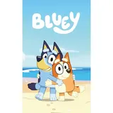 Bluey Handtuch 30 x 50 cm blau
