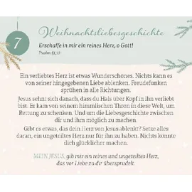 Brunnen Verlag Gießen Adventskalender JOY 2023 Lindgrün