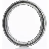 INA Zylinderrollenlager SL183004 C3