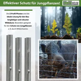 Trutzholm Zaunpfosten 10 x 200 cm Grau/Feuerverzinkt