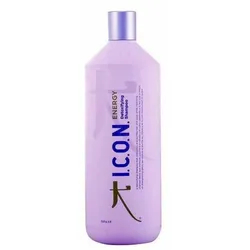 Shampoo Energy I.c.o.n. Energy 250 ml