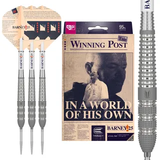 Target Darts Raymond Van Barneveld RVB 25 Year Edition 23G 95% Wolfram Swiss Point Stahlspitze Darts Set