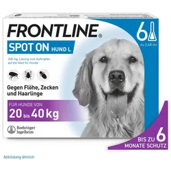 Frontline Spot on H 40 Lösung f.Hunde 6 St