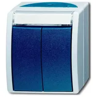 Busch-Jaeger Doppeltaster 2621 WN-53-205-101