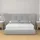 MiaSuite Matratze Memory Schaum 140 x 200 cm H2 Polyester