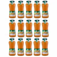 Säfte-Sirup Güldenkron Multivitamin teilweise Fruchtsaftkonzentrat 15x200ml