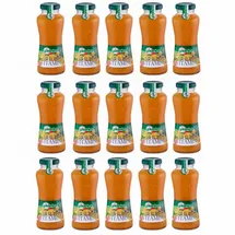 güldenkron Multivitamin Fruchtsaftkonzentrat 15 x 200 ml