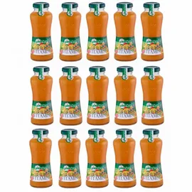 güldenkron Multivitamin Fruchtsaftkonzentrat 15 x 200 ml