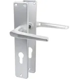 Lienbacher Langschildgarnitur Europa F1 Aluminium grau/silber