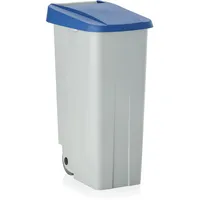 Was WAS, Germany - Abfallbehälter mit blauem Deckel, 110