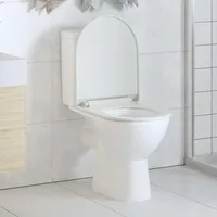 vidaXL Toilettensitz mit Absenkautomatik und Quick-Release Weiß