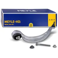 Meyle Lenker, Radaufhängung